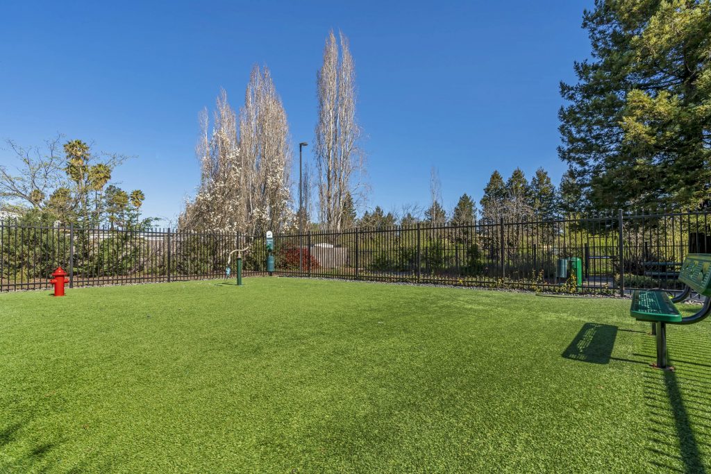 Dog park play area with bench, open green, fire hydrant, and water pump