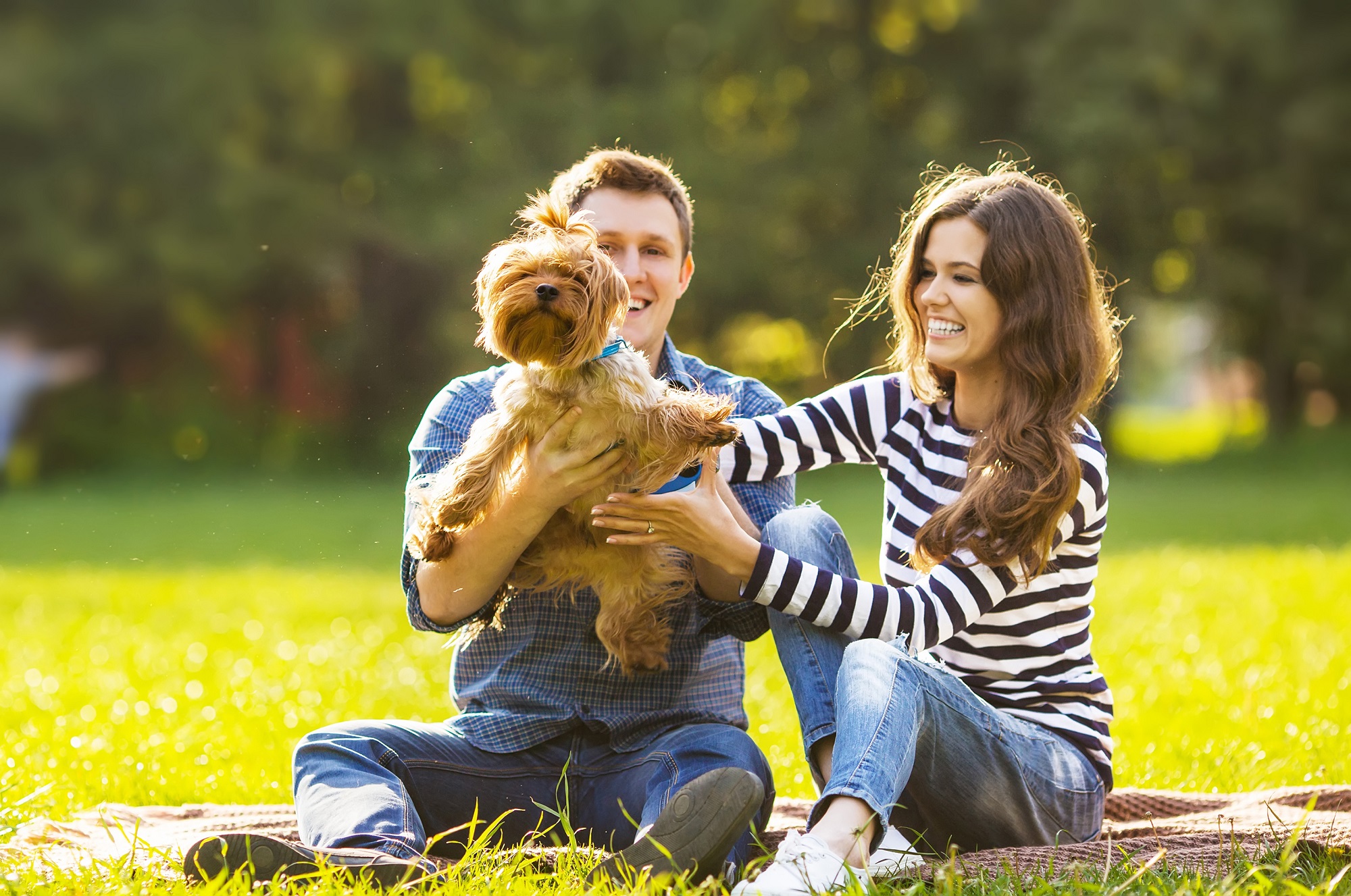 Man and woman smiling playing with dog on blanket in the park